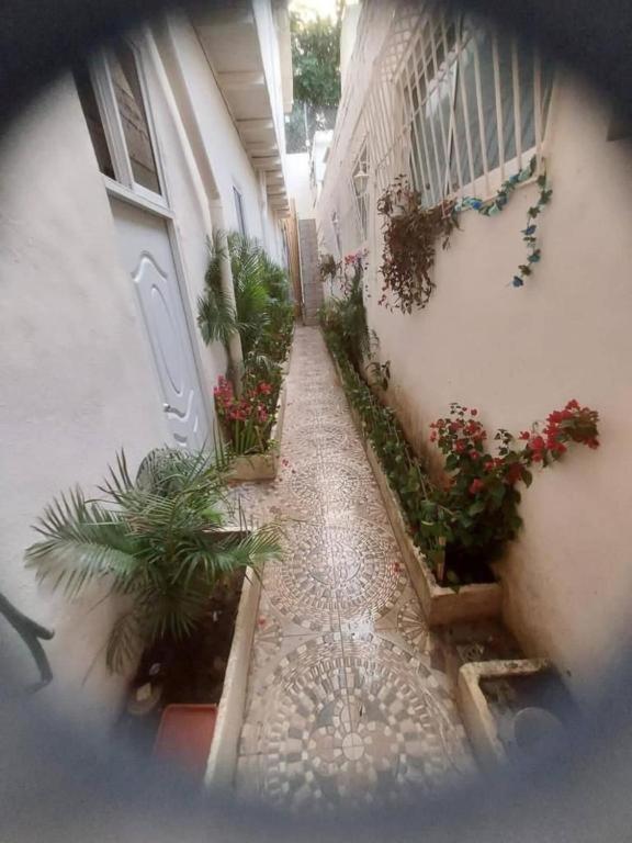 Hostel El Espanol Santo Domingo Dış mekan fotoğraf